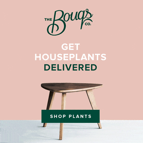 The Bouqs Co. - Shop Plants Gif