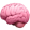 Brain Image
